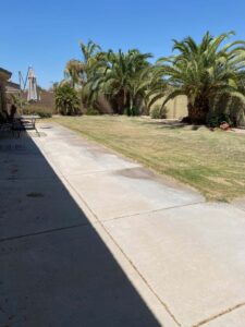 Goodyear Assisted Living - Back Yard