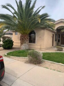 Goodyear Assisted Living - Front Yard